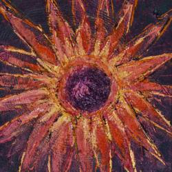 sunflower in the wind